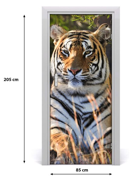 Samolepiace fototapety na dvere tiger 85x205 cm