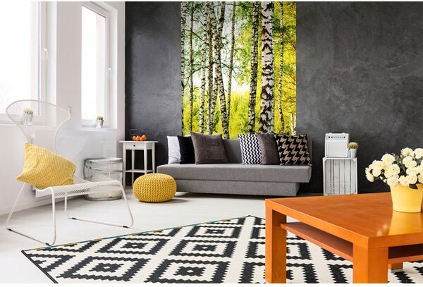 DIMEX | Vliesové fototapety na stenu Brezový les MS-2-0094 | 150 x 250 cm | biela, čierna, zelená