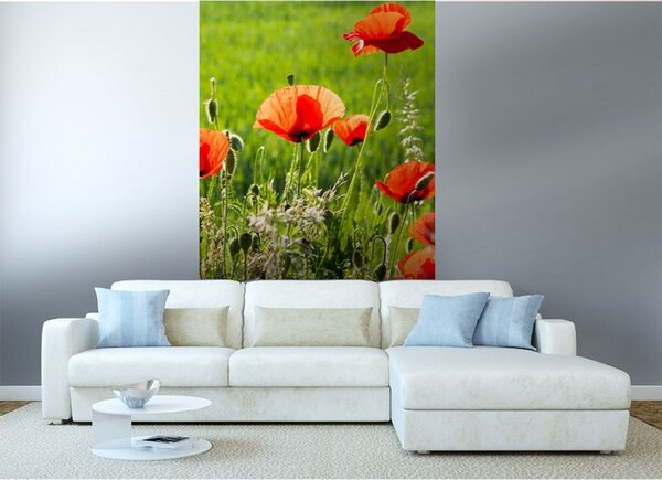 DIMEX | Vliesové fototapety na stenu Makové pole MS-2-0092 | 150 x 250 cm | zelená, červená