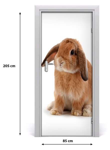 Samolepiace fototapety na dvere králik 85x205 cm
