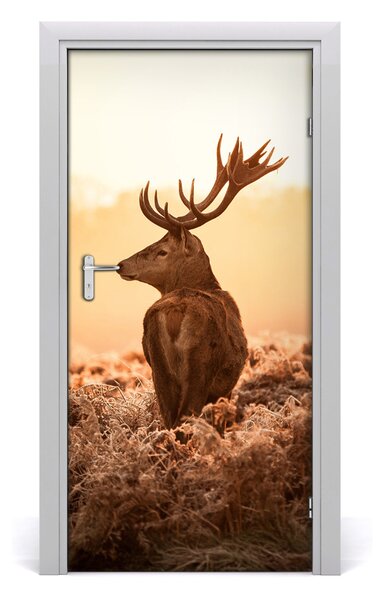 Samolepiace fototapety na dvere jeleň východ 95x205 cm