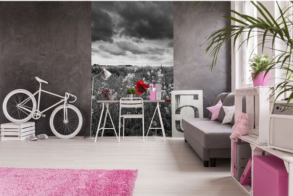 DIMEX | Vliesové fototapety na stenu Čiernobiele vlčie maky MS-2-0091 | 150 x 250 cm | čiernobiela, červená