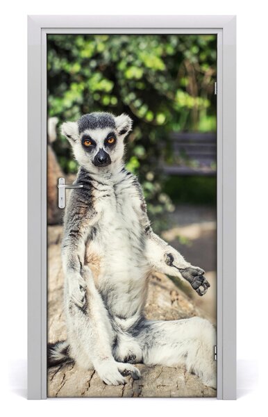 Samolepiace fototapety na dvere lemur 95x205 cm