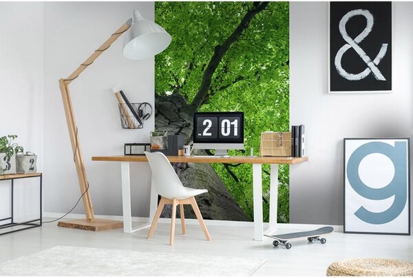 DIMEX | Vliesové fototapety na stenu Koruna stromu MS-2-0101 | 150 x 250 cm | šedá, zelená