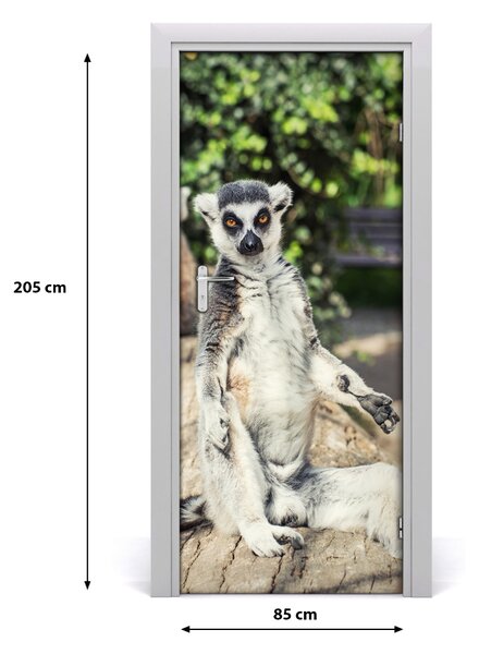 Samolepiace fototapety na dvere lemur 85x205 cm