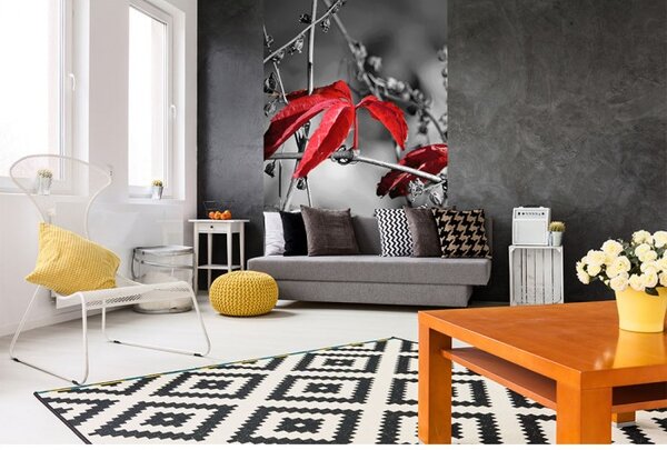 DIMEX | Vliesové fototapety na stenu Červené lístie na čiernom pozadí MS-2-0110 | 150 x 250 cm | čiernobiela, červená
