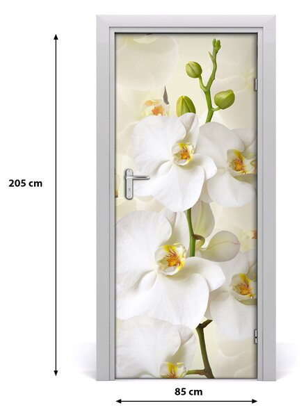 Fototapeta na dvere biela orchidea 85x205 cm