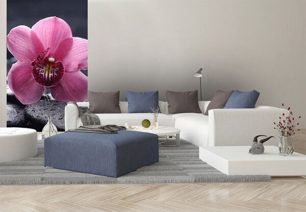 DIMEX | Vliesové fototapety na stenu Orchidea MS-2-0120 | 150 x 250 cm | čierna, ružová