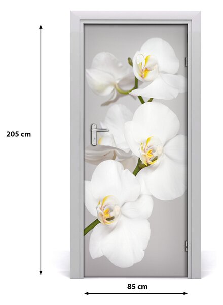 Fototapeta na dvere biela orchidea 85x205 cm