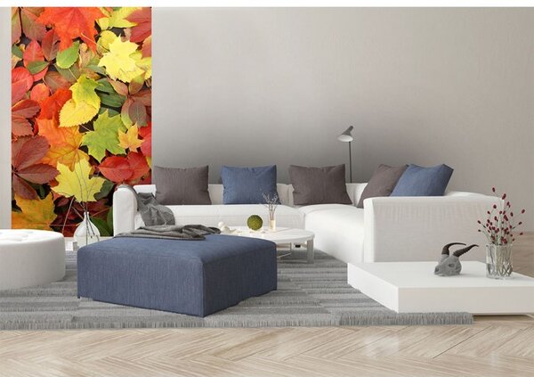 DIMEX | Vliesové fototapety na stenu Pestrofarebné lístie MS-2-0115 | 150 x 250 cm | červená, zelená, žltá, hnedá