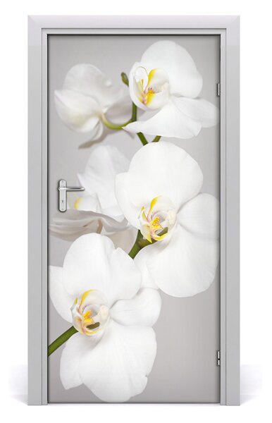 Fototapeta na dvere biela orchidea 95x205 cm
