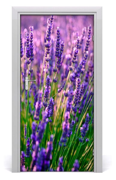 Fototapeta na dvere pole levanduľa 95x205 cm