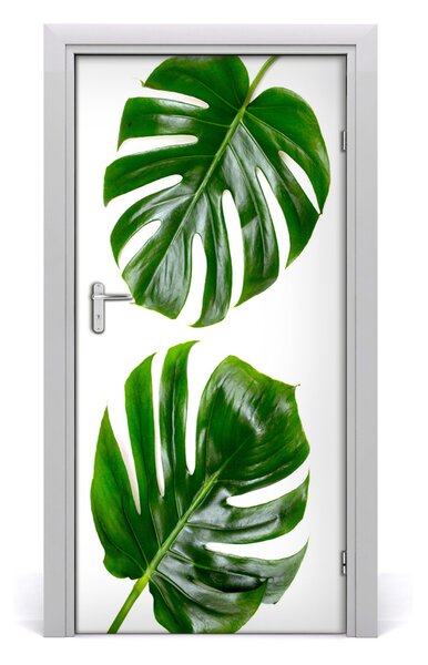Fototapeta na dvere Monstera 95x205 cm