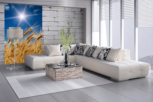 DIMEX | Vliesové fototapety na stenu Pšeničné pole MS-2-0136 | 150 x 250 cm | modrá, biela, béžová