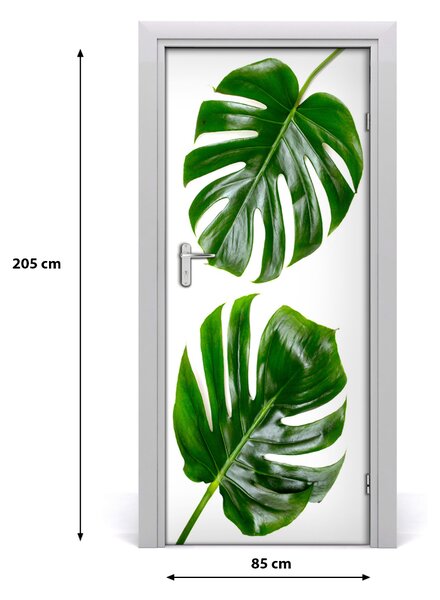 Fototapeta na dvere Monstera 85x205 cm
