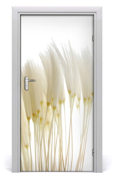 Fototapeta na dvere púpava 95x205 cm