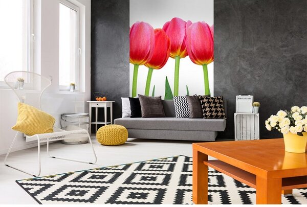 DIMEX | Vliesové fototapety na stenu Tulipány MS-2-0126 | 150 x 250 cm | zelená, červená, biela