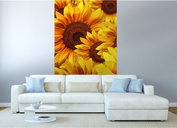 DIMEX | Vliesové fototapety na stenu Lán slnečníc MS-2-0129 | 150 x 250 cm | žltá, hnedá