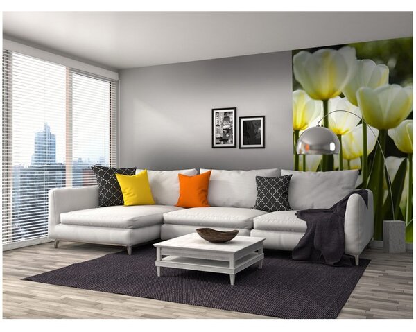 DIMEX | Vliesové fototapety na stenu Biele tulipány MS-2-0127 | 150 x 250 cm | žltá, zelená, biela