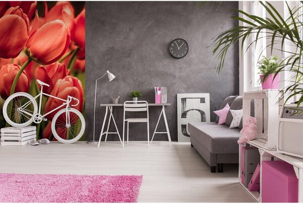DIMEX | Vliesové fototapety na stenu Červené tulipány MS-2-0128 | 150 x 250 cm | červená, zelená