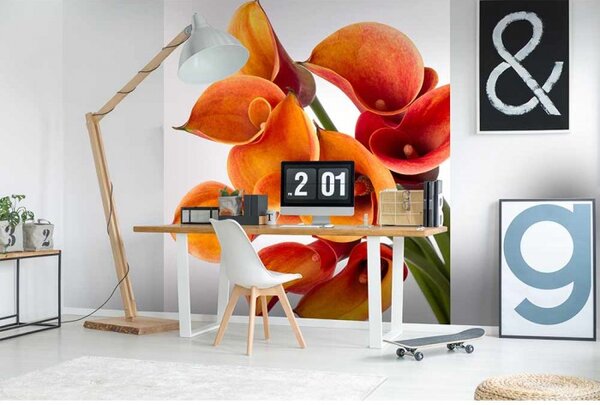 DIMEX | Vliesová fototapeta na stenu Kala MS-3-0152 | 225 x 250 cm | oranžová, biela, zelená