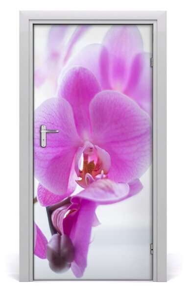 Fototapeta na dvere ružová orchidea 95x205 cm