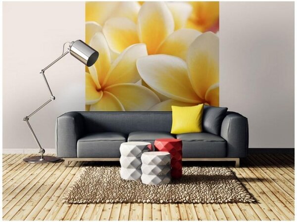 DIMEX | Vliesová fototapeta na stenu Plumérie MS-3-0140 | 225 x 250 cm | žltá, biela, béžová