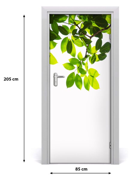 Fototapeta na dvere zelené lístie 85x205 cm