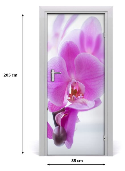 Fototapeta na dvere ružová orchidea 85x205 cm