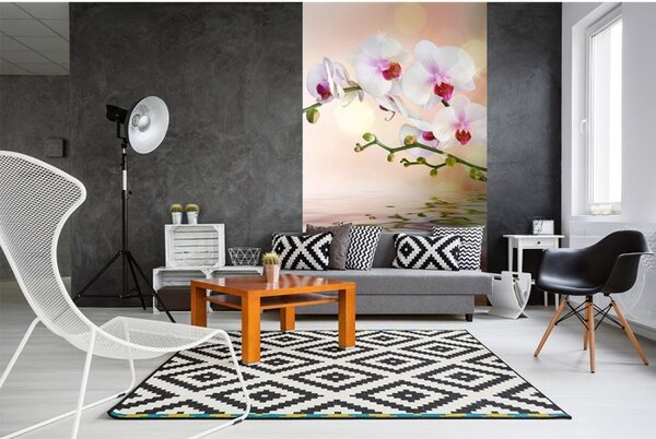 DIMEX | Vliesové fototapety na stenu Biela orchidea MS-2-0147 | 150 x 250 cm | biela, zelená, ružová, oranžová
