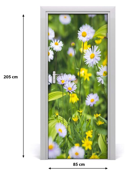 Fototapeta na dvere Sedmikárska 85x205 cm