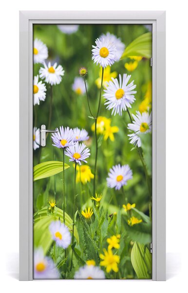 Fototapeta na dvere Sedmikárska 95x205 cm