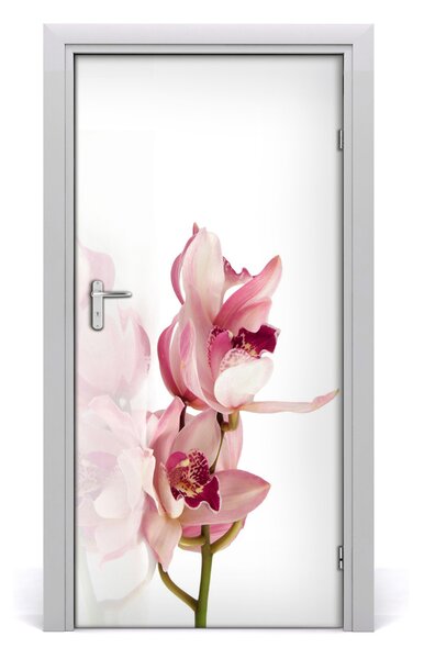 Fototapeta na dvere ružová orchidea 95x205 cm