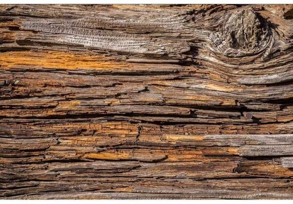 DIMEX | Vliesové fototapety na stenu Kôra stromu MS-5-0159 | 375 x 250 cm | hnedá