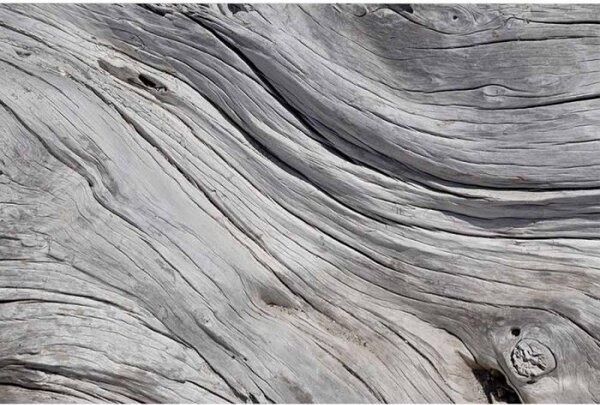 DIMEX | Vliesové fototapety na stenu Štruktúra stromu MS-5-0160 | 375 x 250 cm | šedá