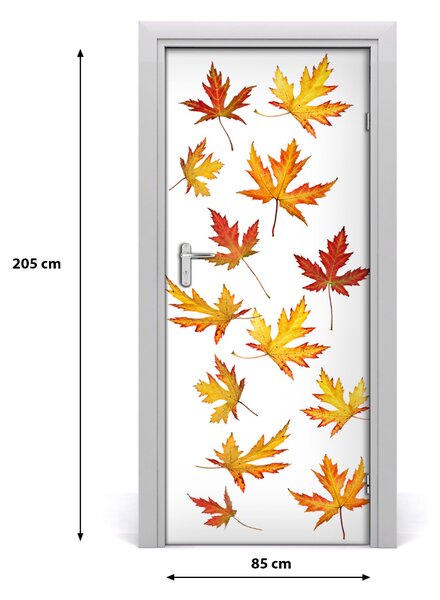 Fototapeta na dvere jesenné kvety 85x205 cm