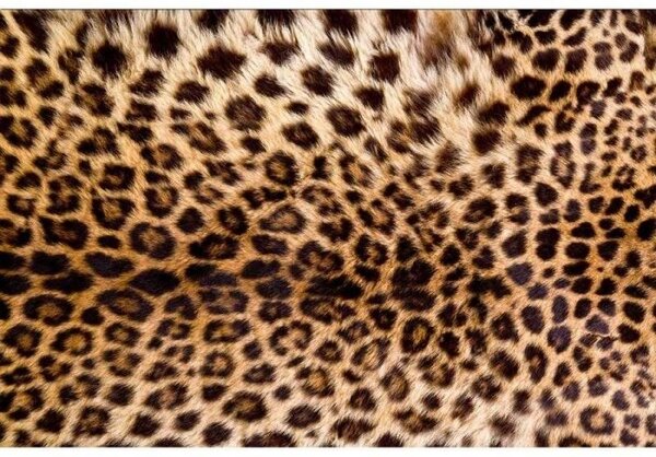 DIMEX | Vliesové fototapety na stenu Leopardia koža MS-5-0184 | 375 x 250 cm | čierna, hnedá