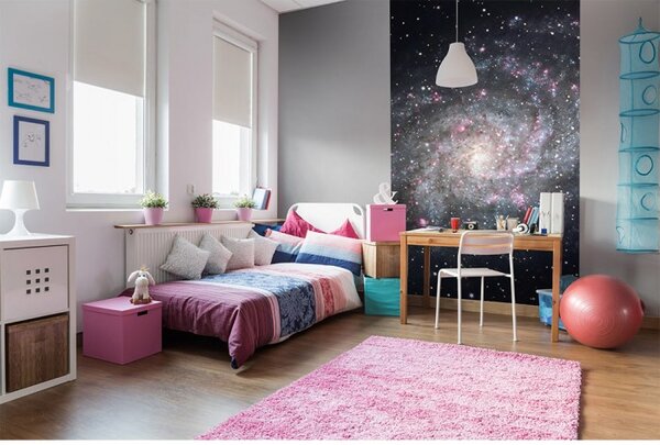 DIMEX | Vliesové fototapety na stenu Galaxia MS-2-0189 | 150 x 250 cm | čierna, šedá, ružová
