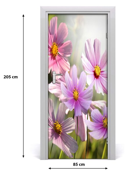 Fototapeta samolepiace poľné kvety 85x205 cm