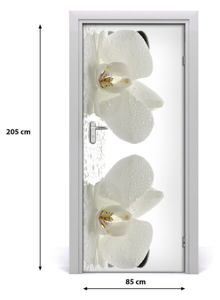 Fototapeta samolepiace Orchidea a kamene 85x205 cm