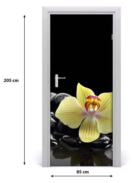 Fototapeta samolepiace Orchidea a kamene 85x205 cm