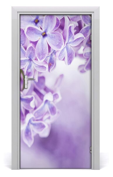 Fototapeta samolepiace kvety bazy 95x205 cm