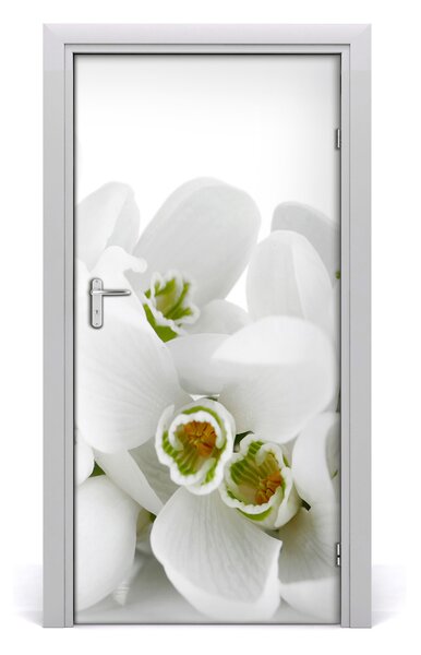 Fototapeta samolepiace biele snežienky 95x205 cm