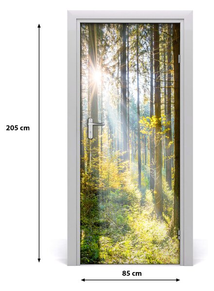 Fototapeta na dvere slnka v lese 85x205 cm