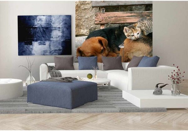 DIMEX | Vliesová fototapeta na stenu Mačka a pes MS-3-0221 | 225 x 250 cm | čierna, |hnedá, sivá