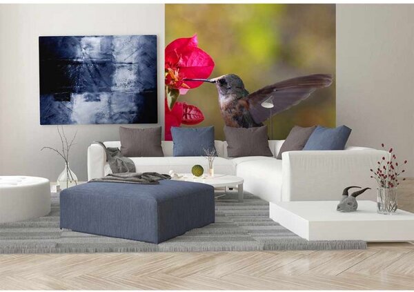 DIMEX | Vliesová fototapeta na stenu Kolibrík MS-3-0230 | 225 x 250 cm | červená, zelená, hnedá