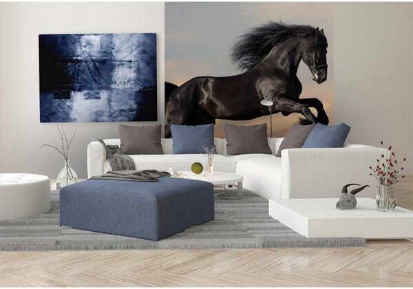 DIMEX | Vliesová fototapeta na stenu Čierny kôň MS-3-0228 | 225 x 250 cm | čierna, zelená, modrá