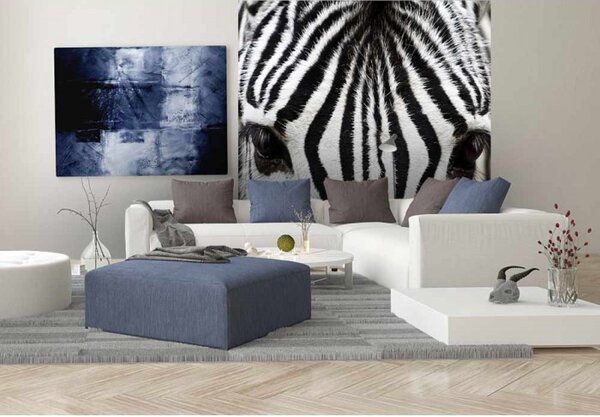 DIMEX | Vliesová fototapeta na stenu Zebra MS-3-0234 | 225 x 250 cm | čierna, biela
