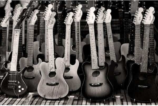 DIMEX | Vliesové fototapety na stenu Gitarová kolekcia MS-5-0303 | 375 x 250 cm | čiernobiela