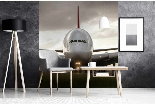 DIMEX | Vliesová fototapeta na stenu Airbus MS-3-0318 | 225 x 250 cm | šedá, zelená
